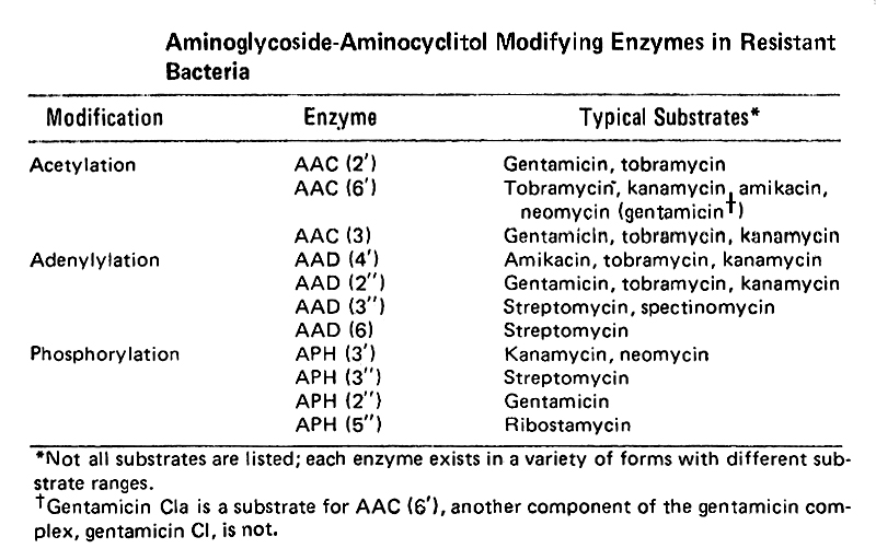 scan0127 LectureSlide-Biocemistry of Modified Enzymes in Resistant Bacteria